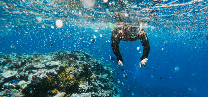 PROTECTING THE GREAT BARRIER REEF