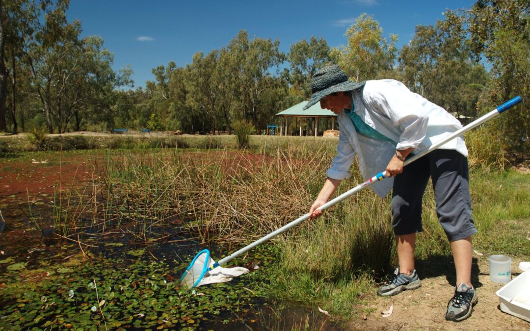 Surface Water Quality Training Workshops – Good decisions need good data