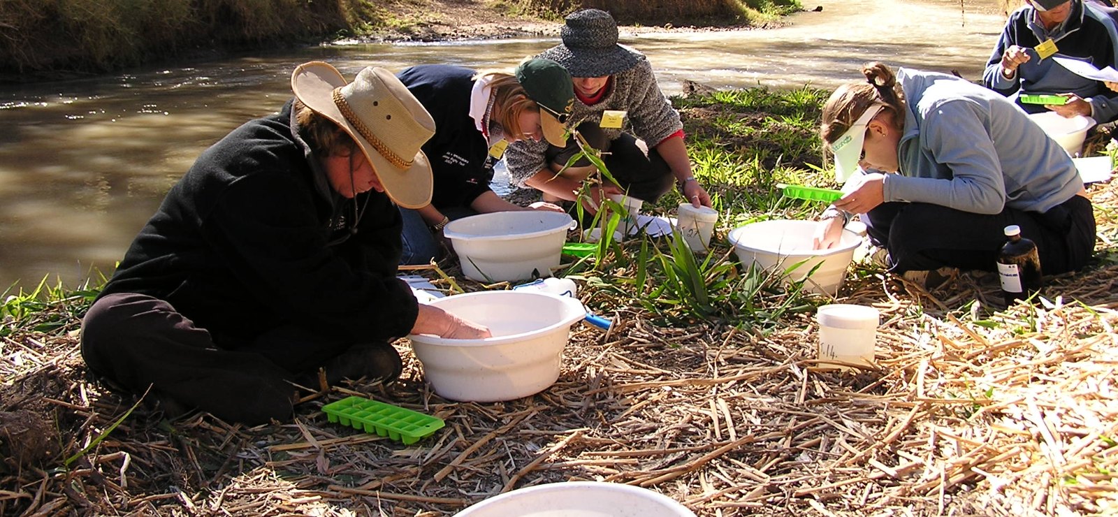 Macro-invertebrate sampling training beside a creek